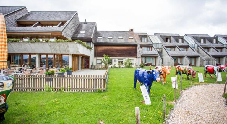 Charming lodge with yard & terrace | Dogs allowed — photo 3
