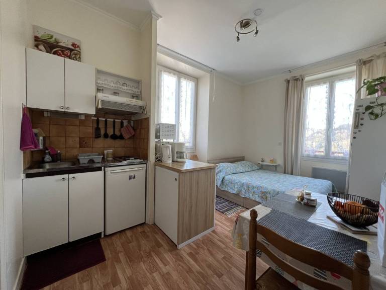 Charming Studio with Internet, Close to Spa & Downtown, Pets Allowed — photo 3