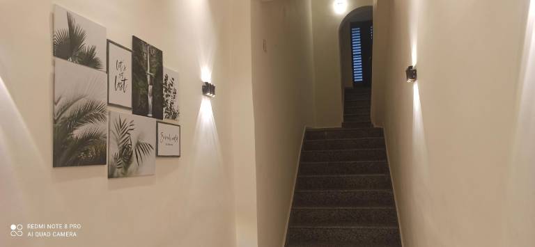 foto7