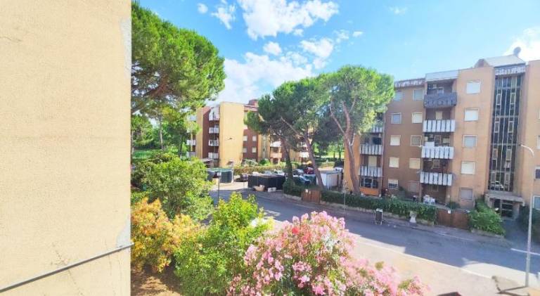 Apartment with 1 room for 4 persons in Montesilvano