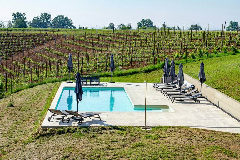 Vacation home with patio, garden & private pool — photo 5