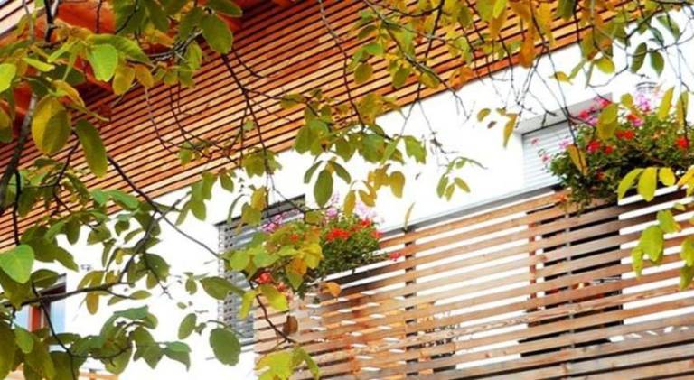 Apartment with terrace, yard & BBQ in Naz Sciaves