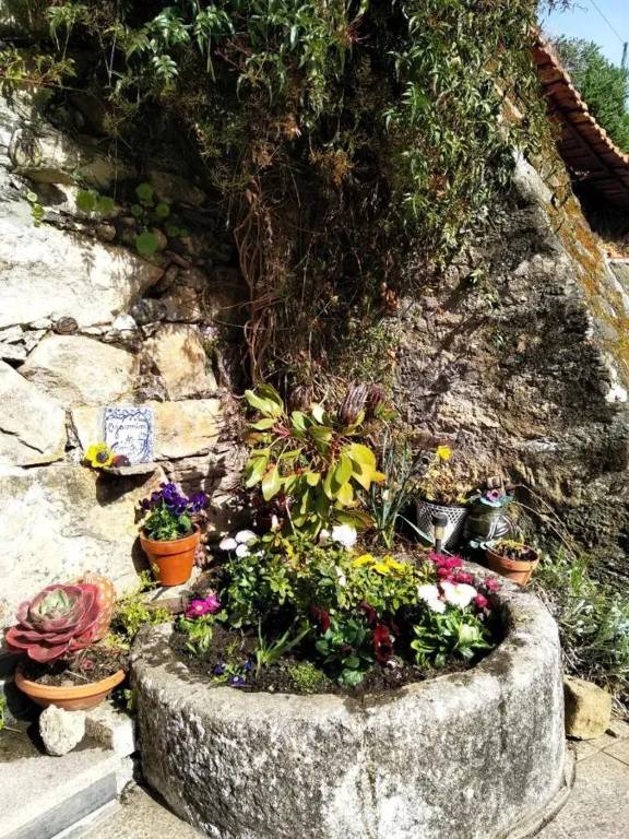 foto30