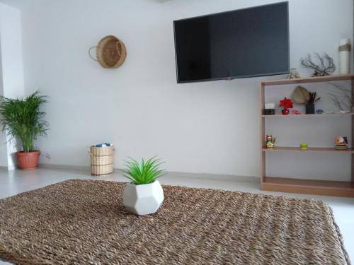 foto10