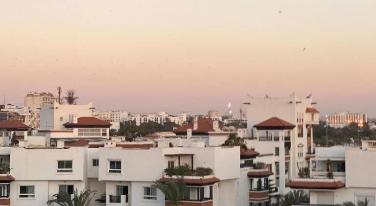 Holiday apartment | Beach nearby | Dogs allowed — photo 4