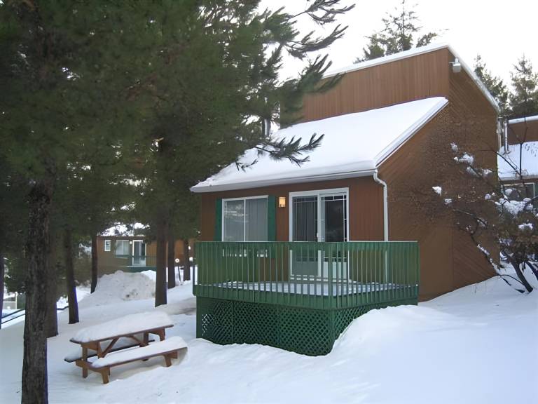 Chalet with barbeque & patio — photo 5