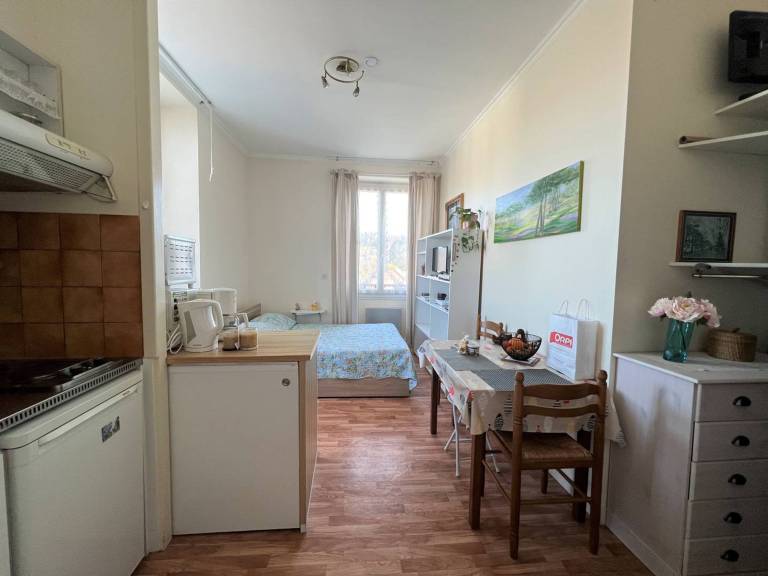 Charming Studio with Internet, Close to Spa & Downtown, Pets Allowed — photo 4