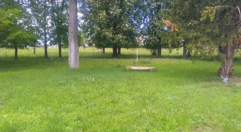 foto17