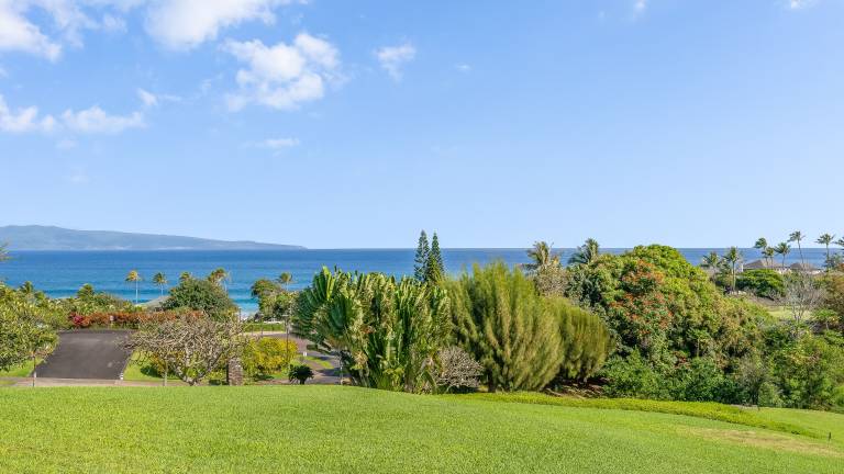 Condo  Kapalua