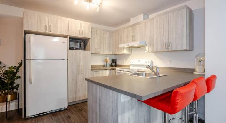 Cozy and Spacious Condo Downtown — photo 4