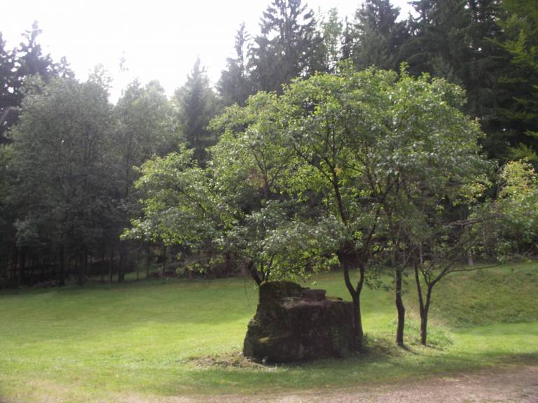 foto5