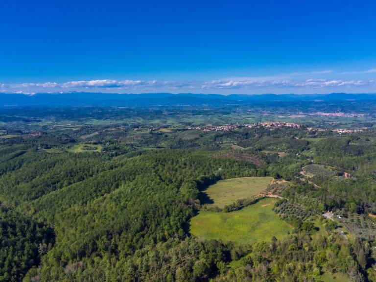 foto47