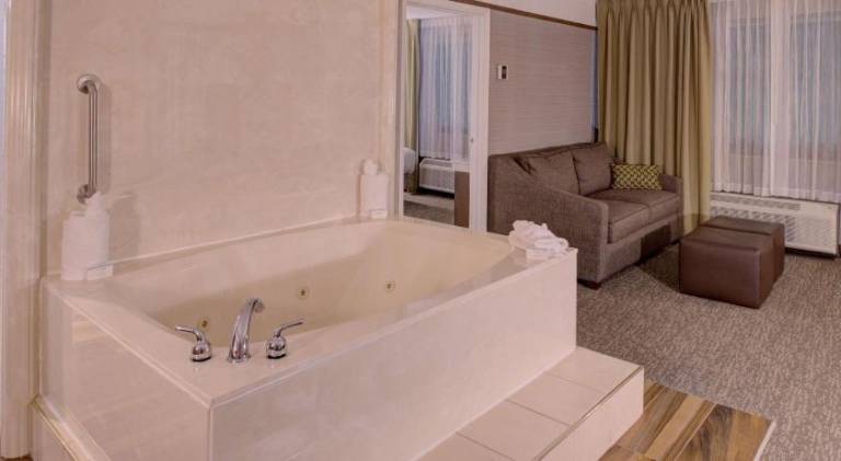 Hilton Garden Inn Detroit-Southfield — photo 5