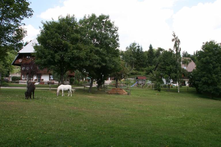 foto19