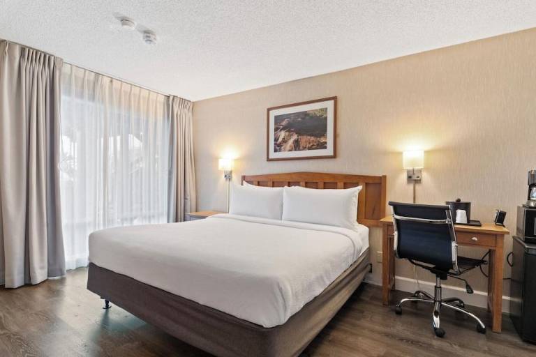 Vagabond Inn Executive - San Francisco Airport Bayfront (SFO) — photo 5