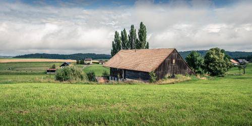 La Libellule — photo 2