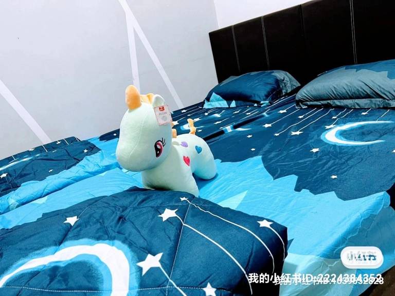 foto1