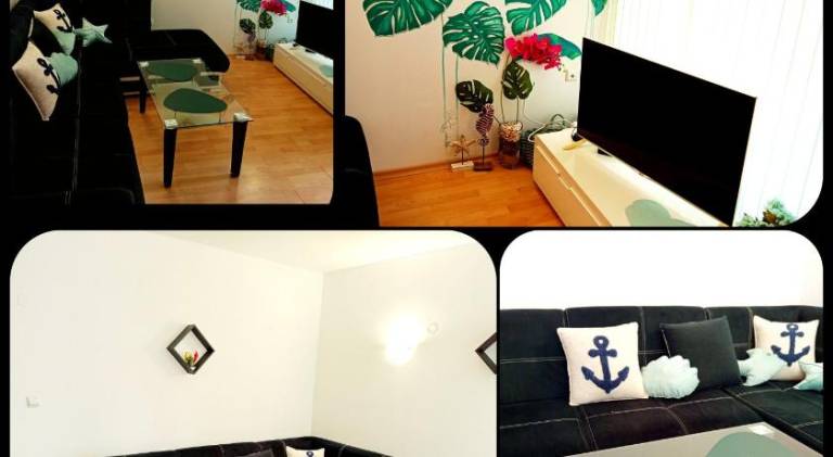 Apartment with pool | Pets allowed in Sunny beach