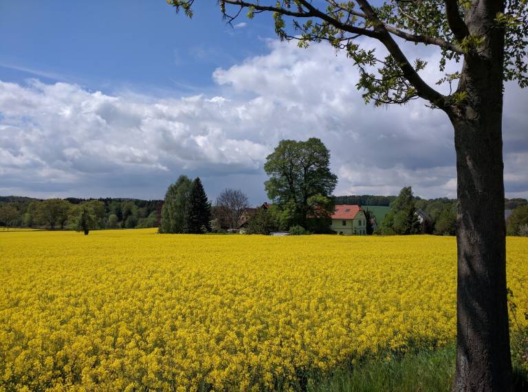 Ferienwohnung Neukirch/Lausitz