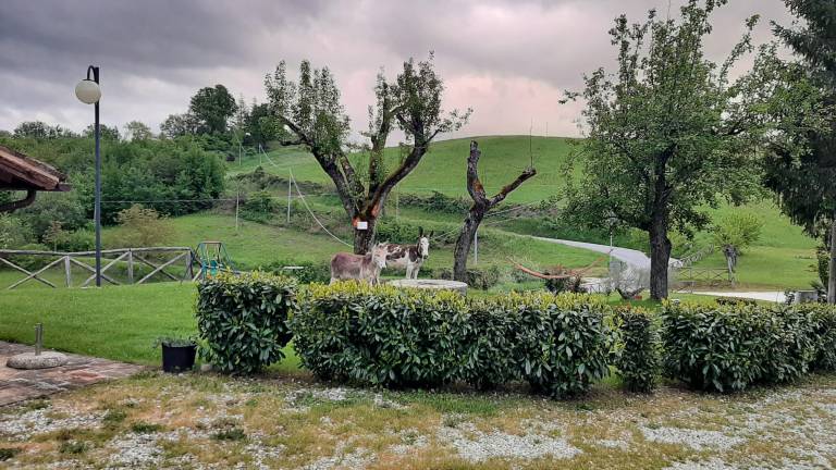 Agriturismo Antica corte: Carmenta camera matrimoniale con balcone — photo 5