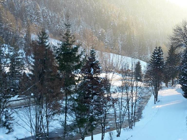 Apartment with barbecue in Le Grand-Bornand