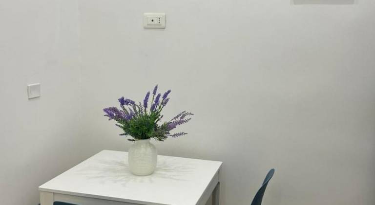 Holiday apartment | Pet-friendly — photo 4