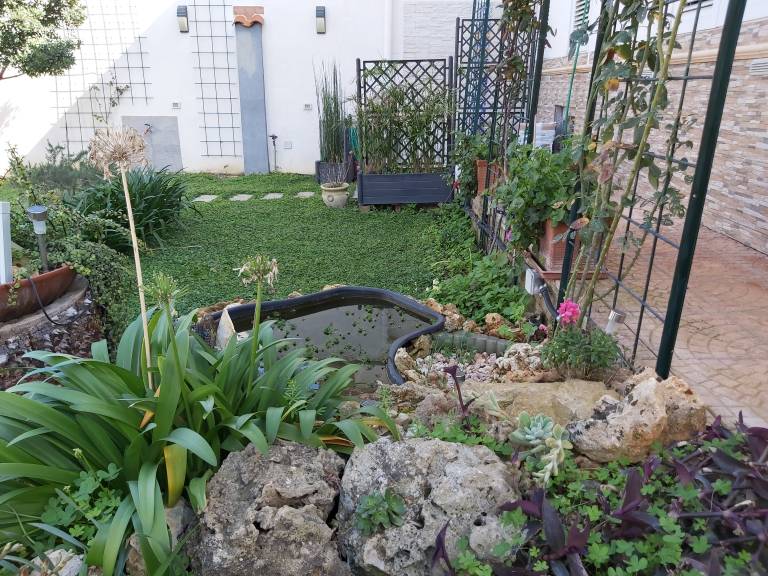 foto27