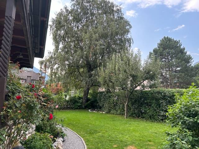 foto12