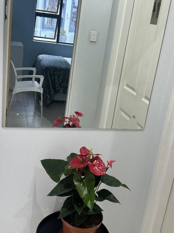 foto28