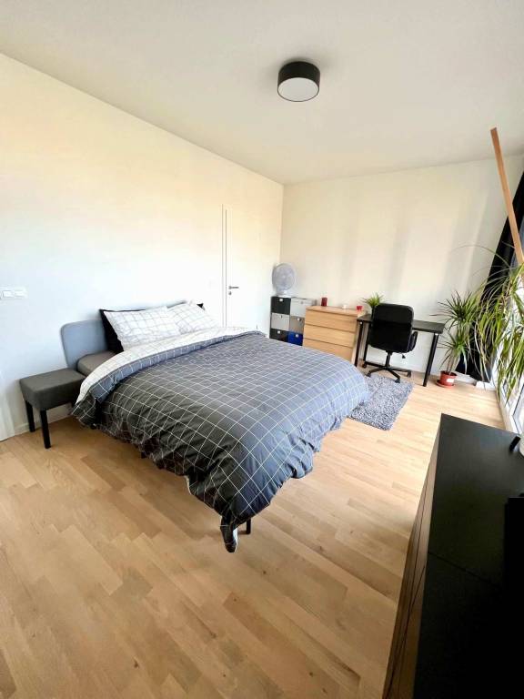 foto19