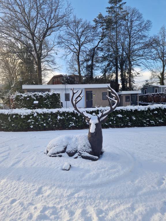 Ferienhaus mit Hund in Harderwijk, Gelderland f&uuml;r max. 3 Personen