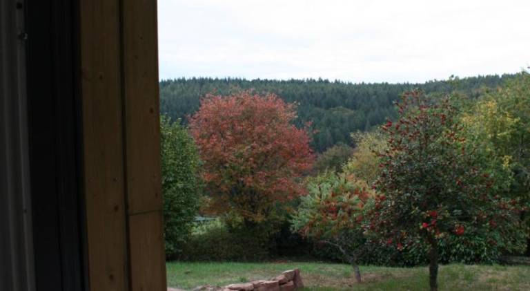 foto10