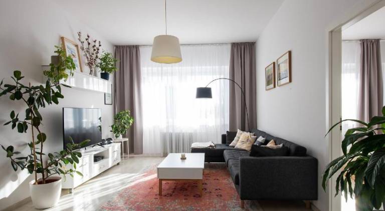 Appartement Vieille ville