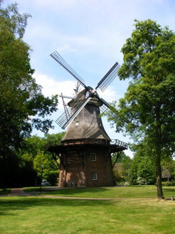 foto17