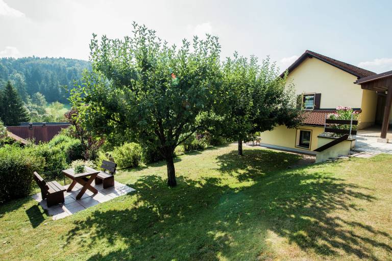 foto1