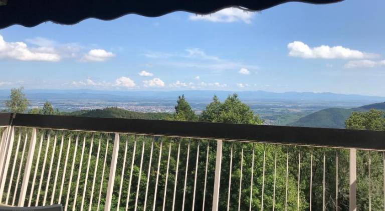 Lovely rental apartment with yard & terrace | Suitable for remote work | Pets are welcome — photo 2