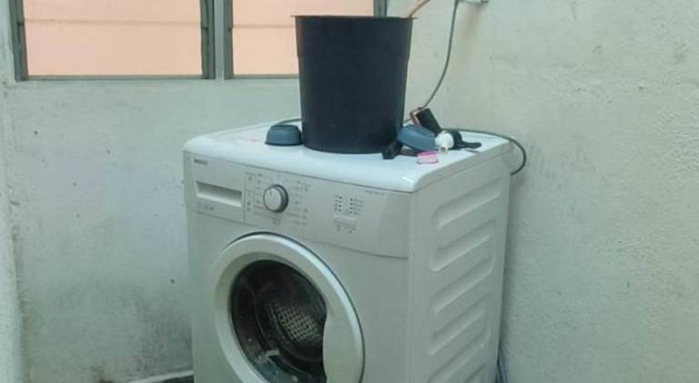 foto12
