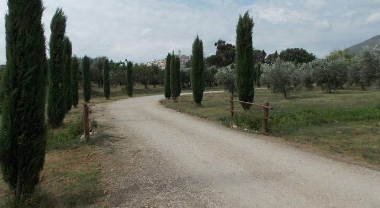 foto10