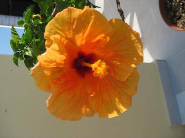 foto23
