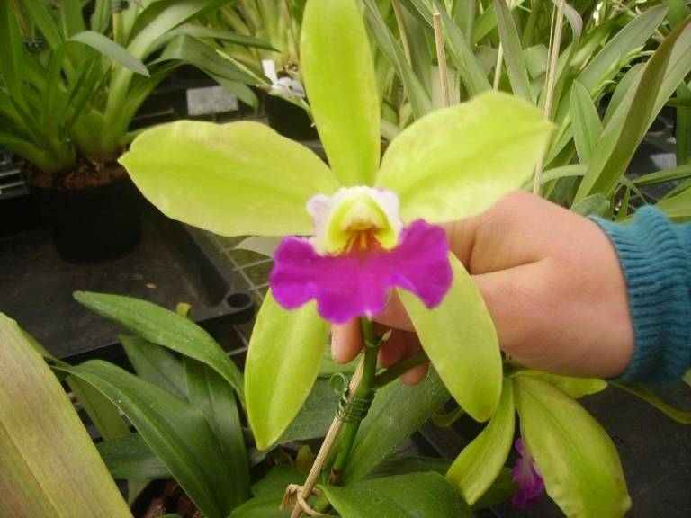 foto9