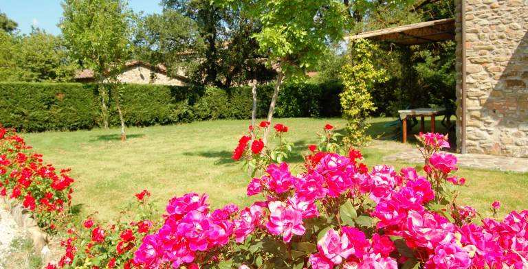 Three-room apartment on the outskirts of Chianti — photo 3