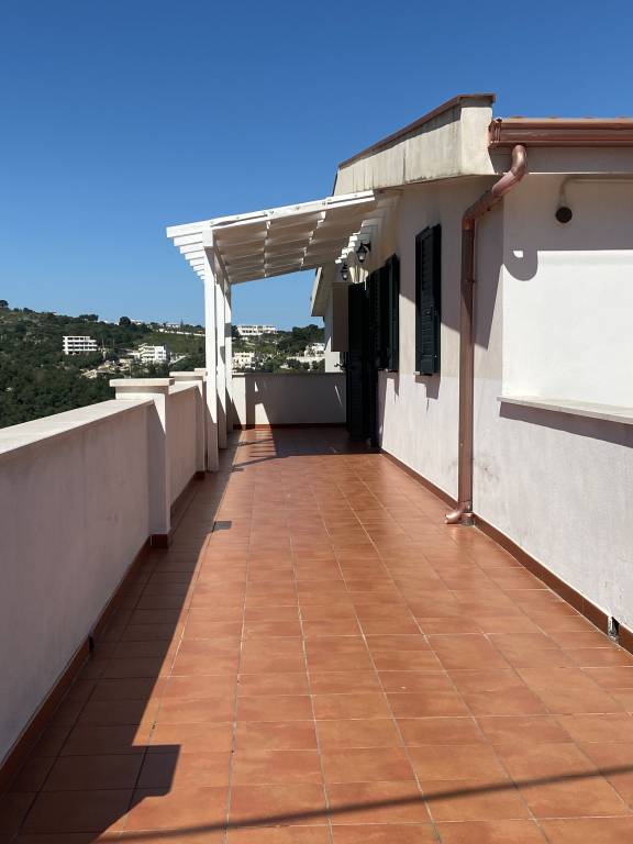 Child-friendly beautiful rental apartment with yard | Pet-friendly — photo 3