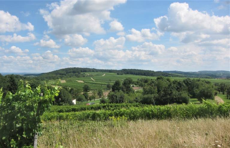 foto21