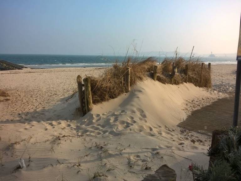 foto16