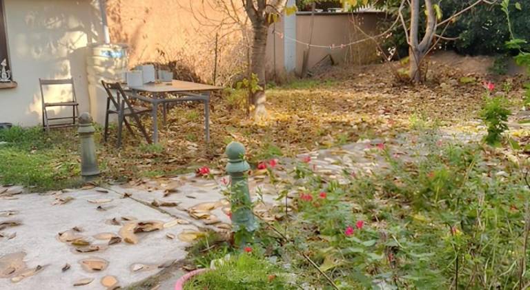 Pleasant holiday apartment | Pets allowed — photo 5