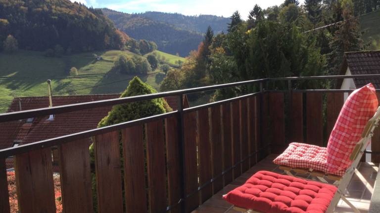 Ferienwohnung Münstertal/Schwarzwald