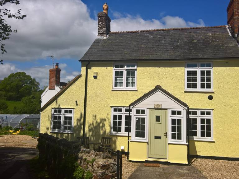 Cottage Chard