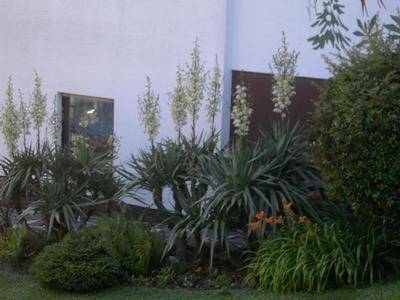 foto18