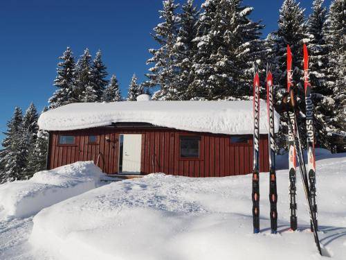 Chalet Lillehammer
