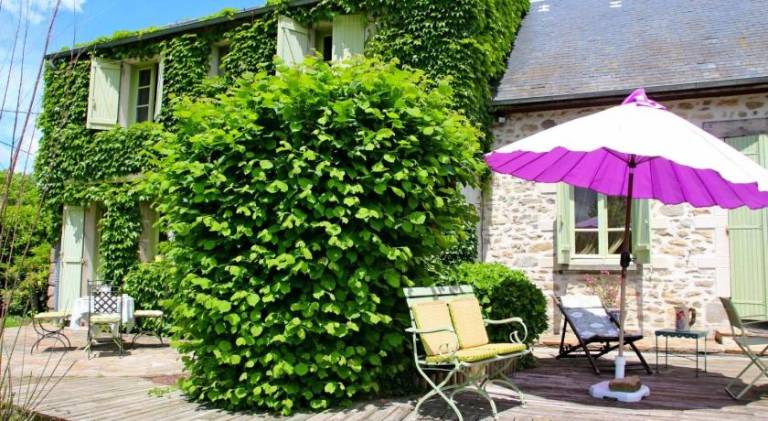 Chez Claire — photo 3